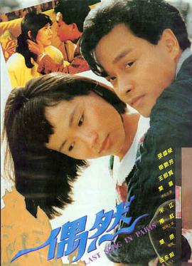 迷雾森林 惊悚悬疑力作